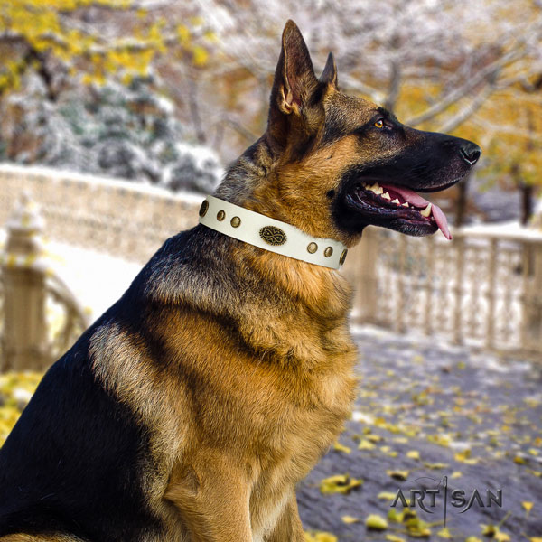 German-Shepherd easy wearing collar with amazing adornments for your canine