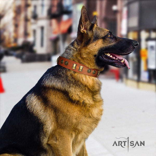 German-Shepherd handcrafted collar with amazing embellishments for your four-legged friend