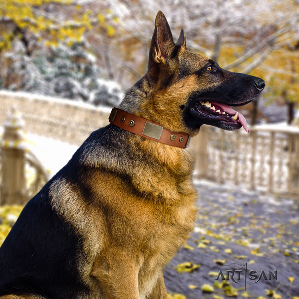 German-Shepherd fine quality collar with fashionable decorations for your dog