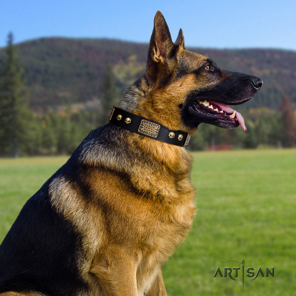 German-Shepherd perfect fit collar with impressive decorations for your pet