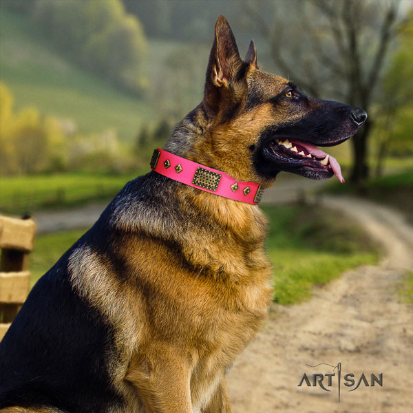 German-Shepherd handmade collar with amazing studs for your four-legged friend