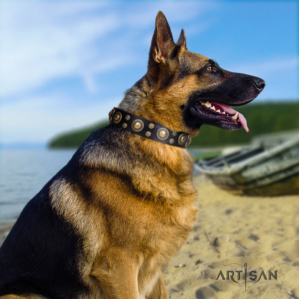 German-Shepherd adjustable collar with impressive studs for your four-legged friend