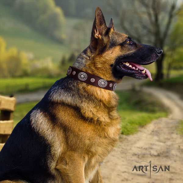 German-Shepherd handmade collar with inimitable decorations for your four-legged friend