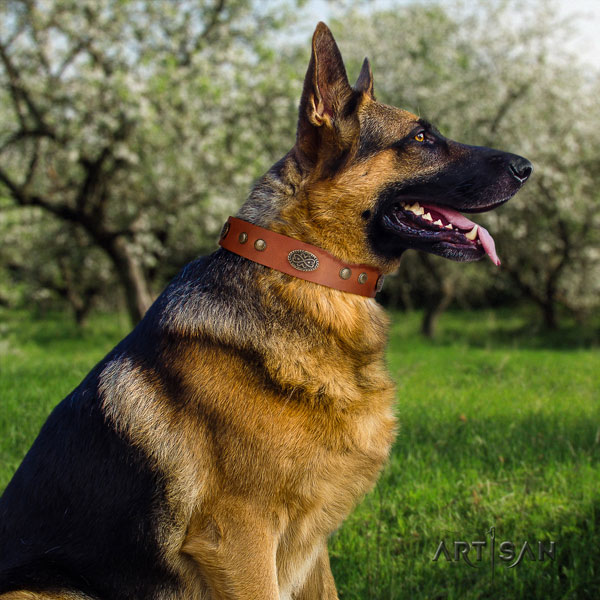 German-Shepherd convenient collar with designer studs for your four-legged friend