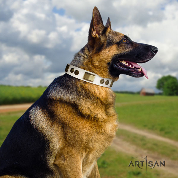 German-Shepherd fine quality collar with top notch decorations for your doggie