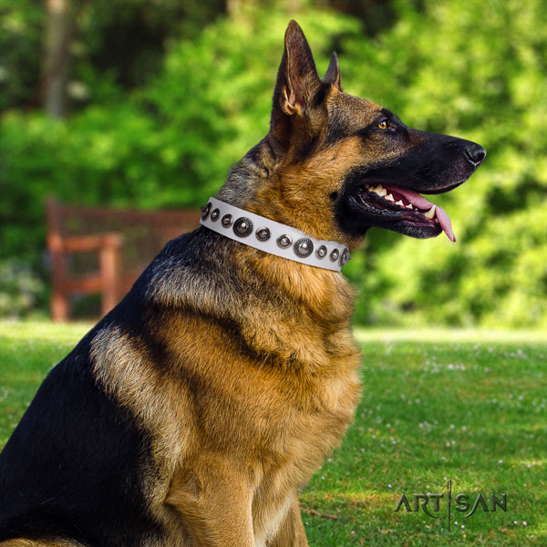 German-Shepherd perfect fit collar with amazing studs for your dog