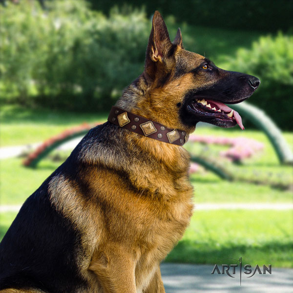 German-Shepherd easy to adjust collar with inimitable embellishments for your four-legged friend