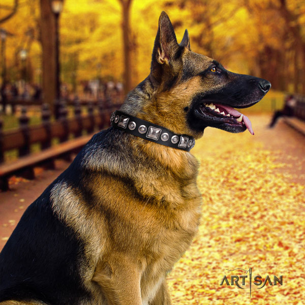 German-Shepherd top quality collar with extraordinary decorations for your canine