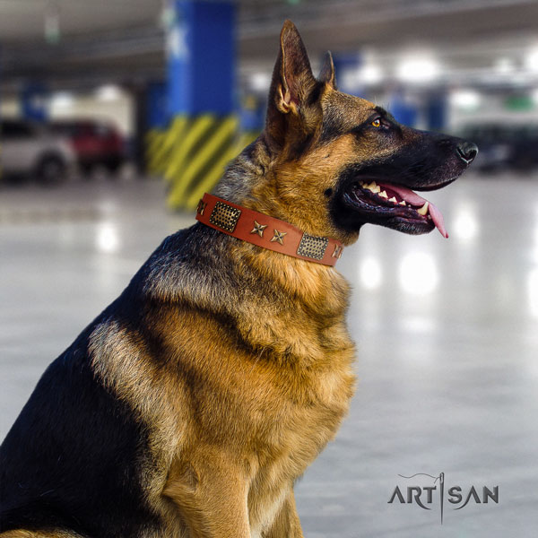 German-Shepherd handcrafted collar with trendy adornments for your doggie