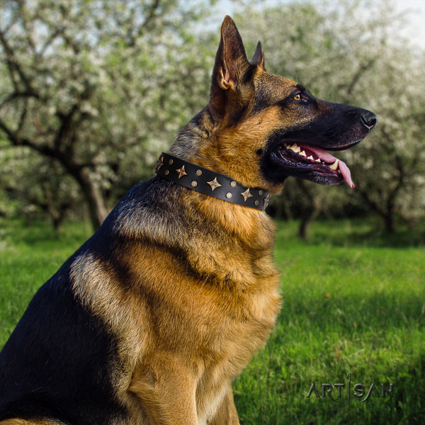 German-Shepherd easy adjustable collar with impressive embellishments for your doggie
