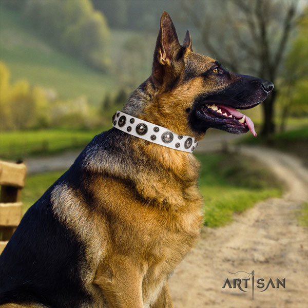 German-Shepherd easy adjustable collar with remarkable adornments for your doggie