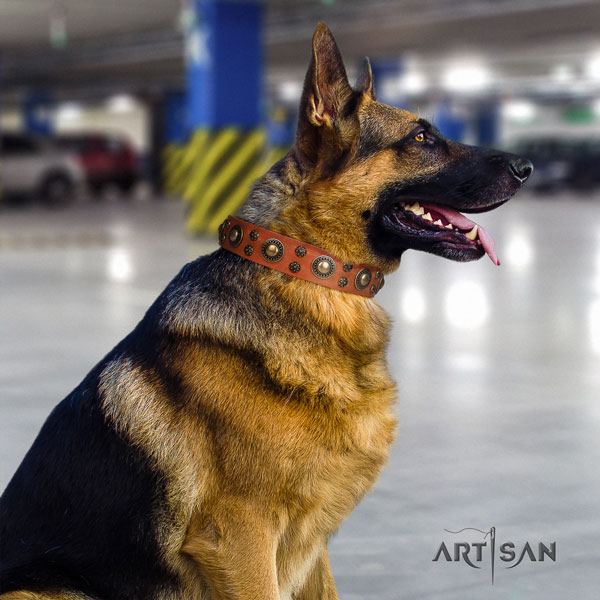 German-Shepherd perfect fit collar with stylish embellishments for your pet