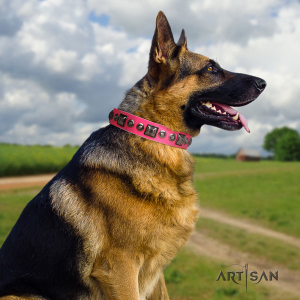 German-Shepherd comfortable collar with top notch decorations for your four-legged friend