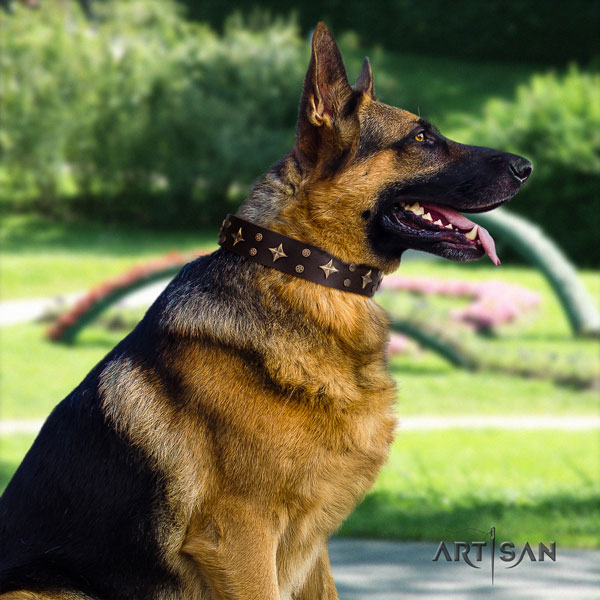 German-Shepherd fine quality collar with awesome decorations for your four-legged friend