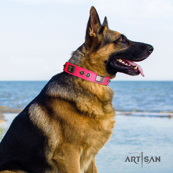 German-Shepherd top quality collar with impressive adornments for your four-legged friend