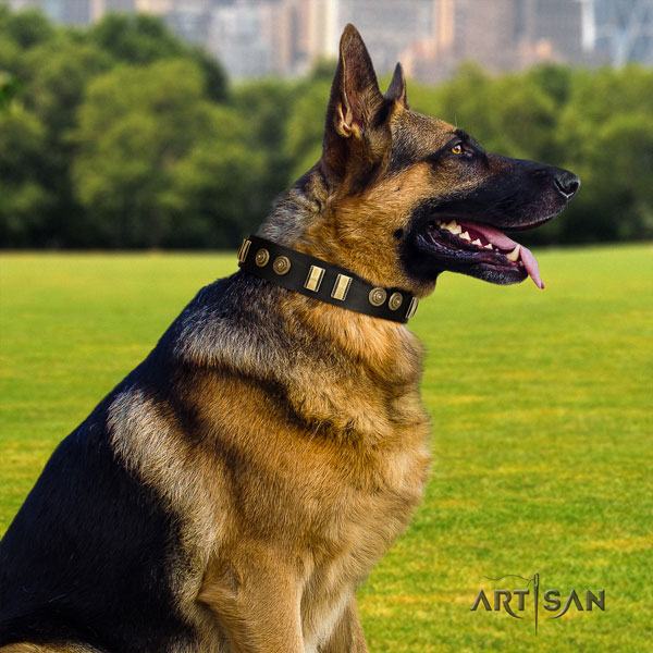 German-Shepherd fine quality collar with trendy studs for your canine