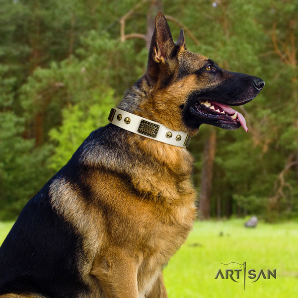 German-Shepherd easy wearing collar with significant studs for your four-legged friend