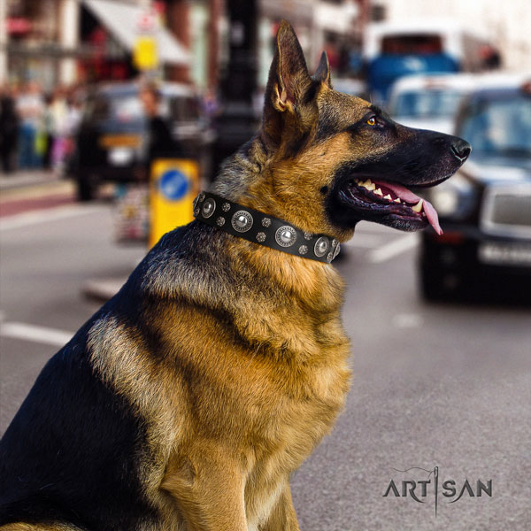 German-Shepherd fine quality collar with stylish design adornments for your four-legged friend