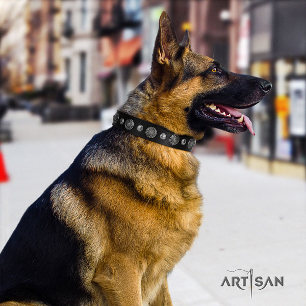 German-Shepherd adjustable collar with extraordinary studs for your dog