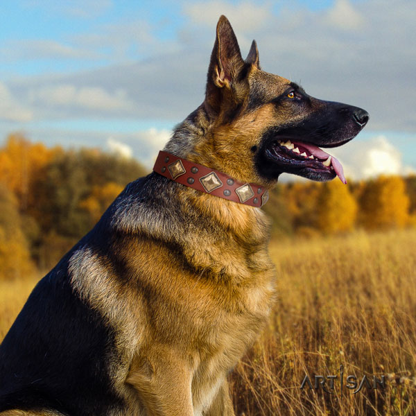 German-Shepherd handcrafted collar with stylish design adornments for your dog