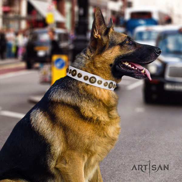German-Shepherd best quality collar with stylish studs for your four-legged friend
