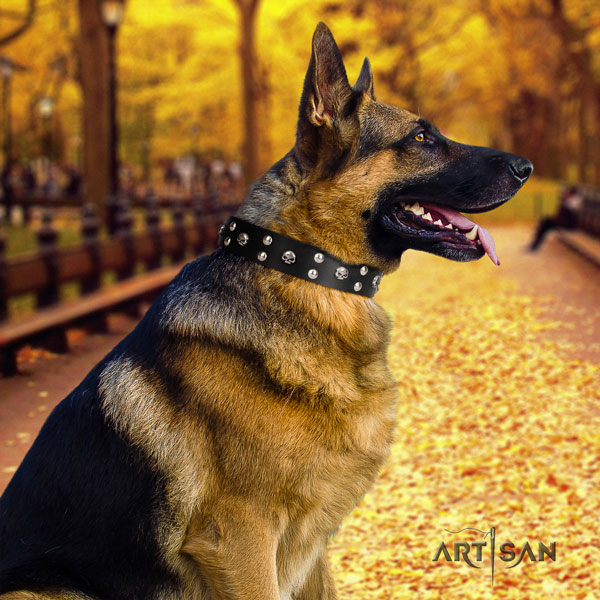 German Shepherd comfortable collar with remarkable decorations for your four-legged friend