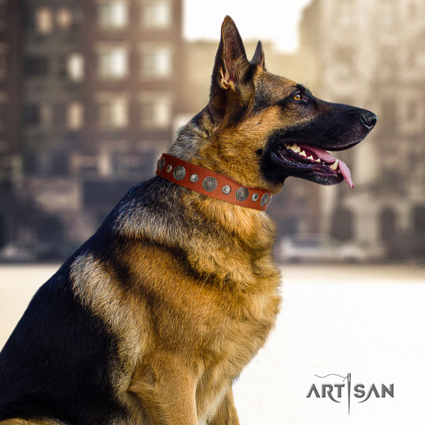 German-Shepherd easy wearing collar with extraordinary studs for your pet