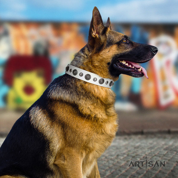 German-Shepherd perfect fit collar with significant embellishments for your canine