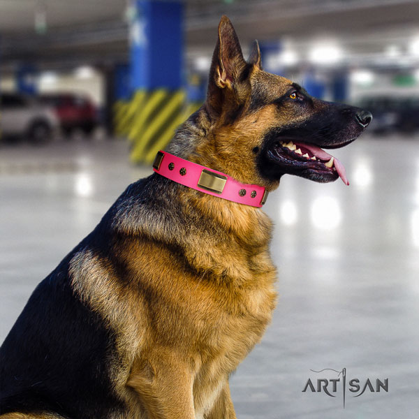 German-Shepherd handcrafted collar with stylish embellishments for your dog