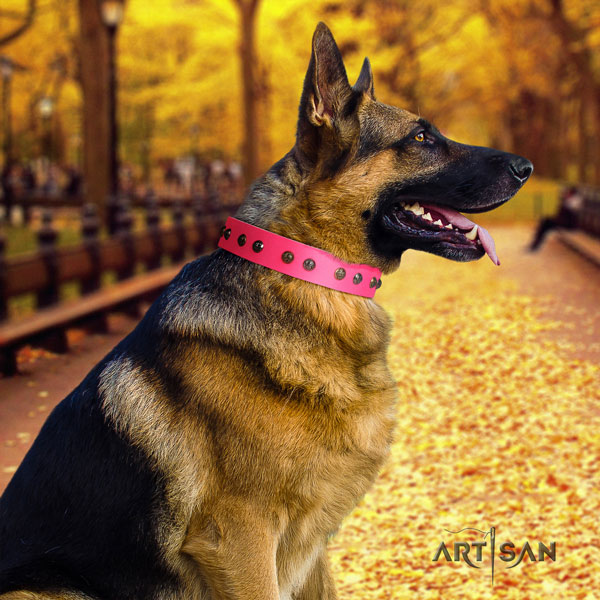 German-Shepherd handmade collar with unusual adornments for your pet