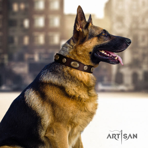 German-Shepherd handcrafted collar with trendy embellishments for your doggie