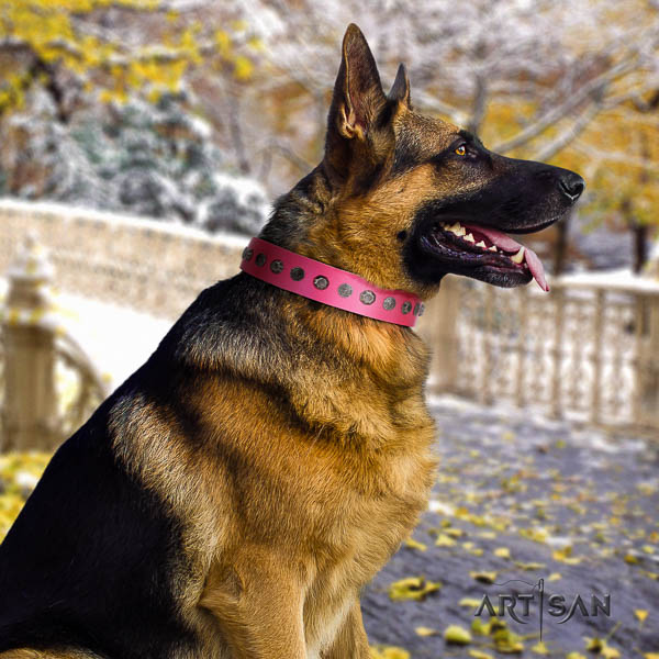 German-Shepherd amazing leather collar with studs for your pet