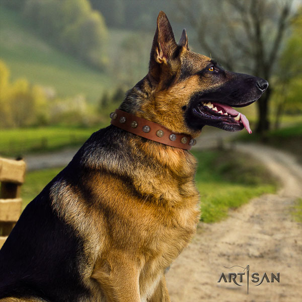 German-Shepherd top quality full grain leather collar with studs for your doggie
