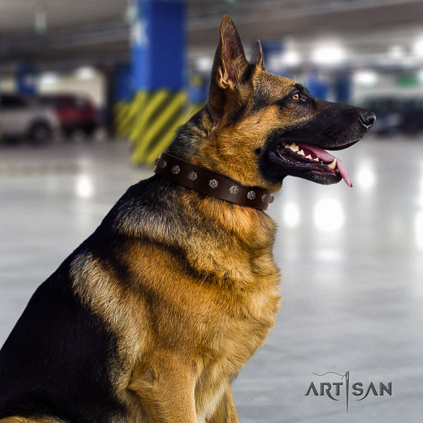 German-Shepherd top notch full grain genuine leather collar with embellishments for your pet