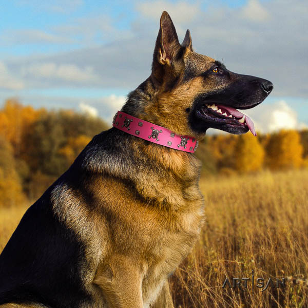 German-Shepherd impressive full grain natural leather collar with embellishments for your doggie