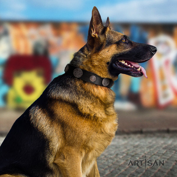 German-Shepherd comfortable leather collar with decorations for your canine