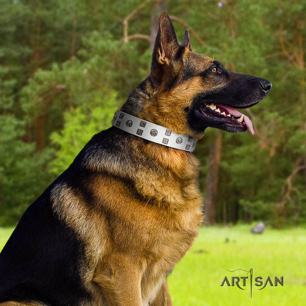 German-Shepherd stunning full grain leather collar with studs for your canine