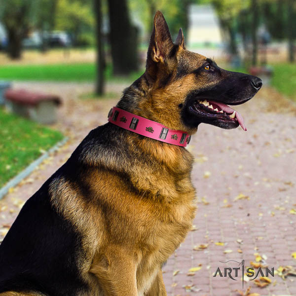 German-Shepherd stylish full grain natural leather collar with studs for your canine