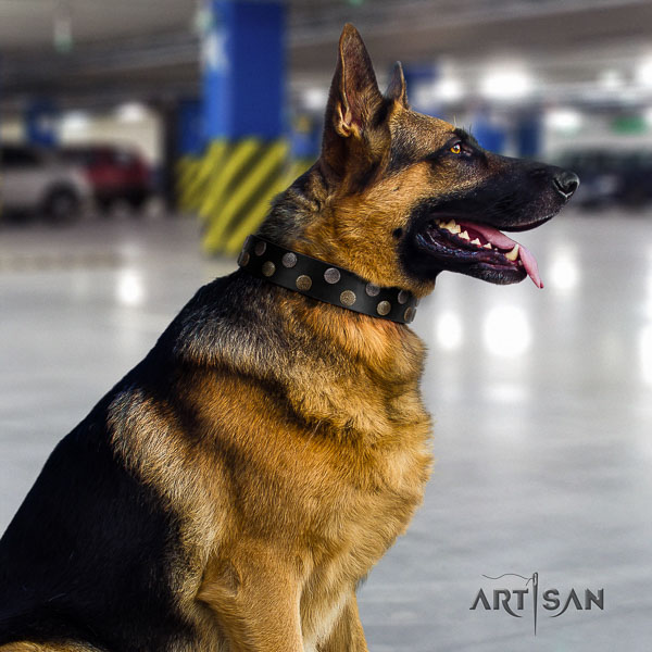 German-Shepherd fine quality genuine leather collar with adornments for your canine