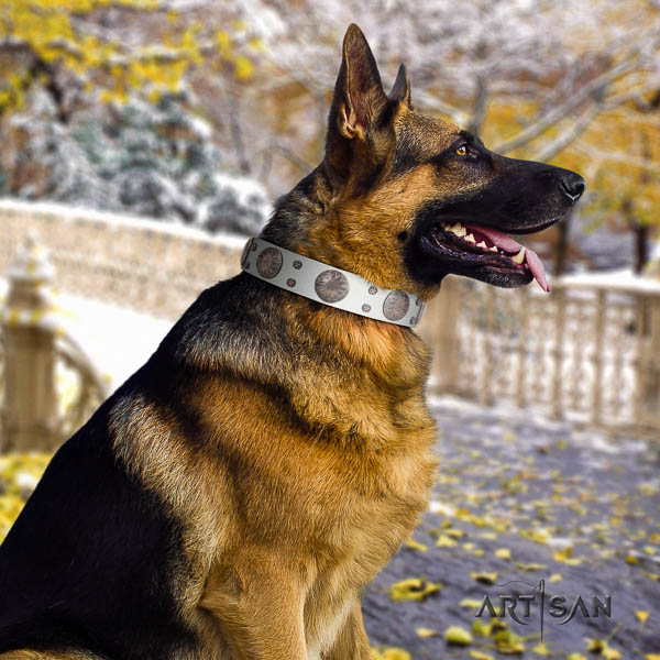 German-Shepherd trendy full grain leather collar with embellishments for your four-legged friend