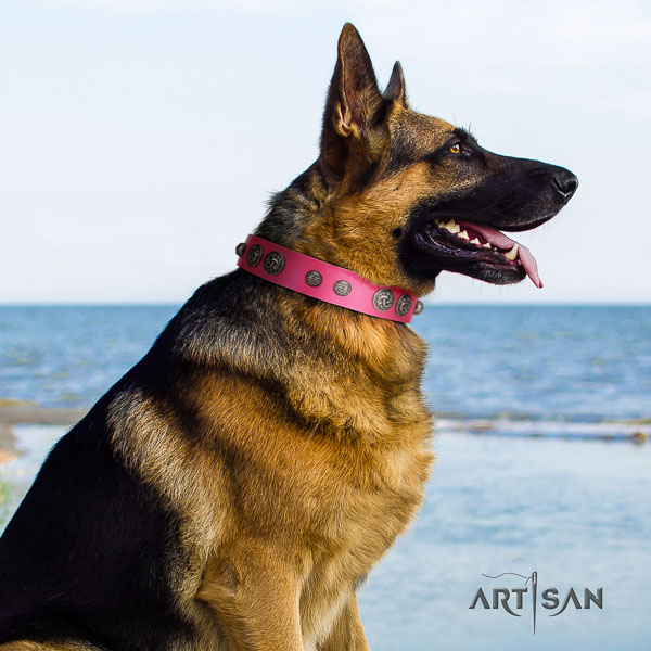 German-Shepherd best quality leather collar with adornments for your dog
