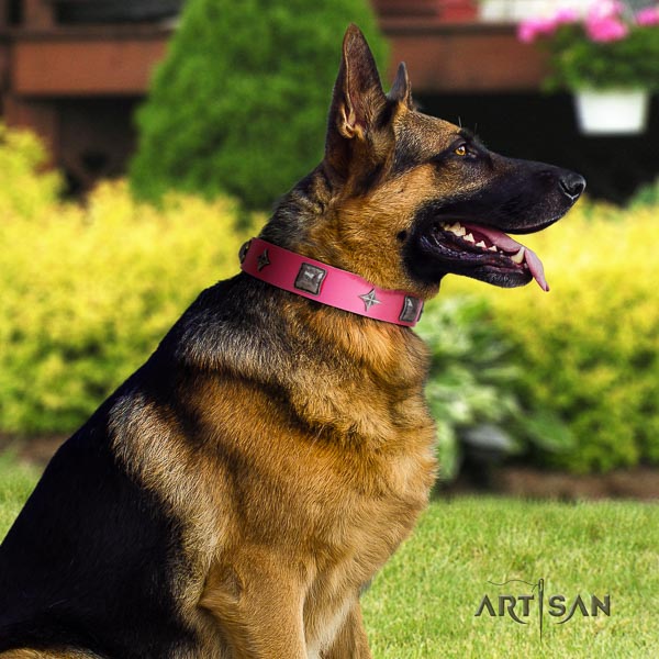 German-Shepherd extraordinary leather collar with decorations for your four-legged friend