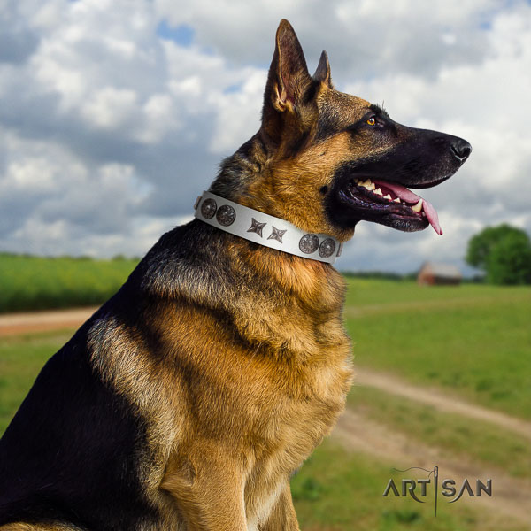 German-Shepherd perfect fit full grain natural leather collar with studs for your pet