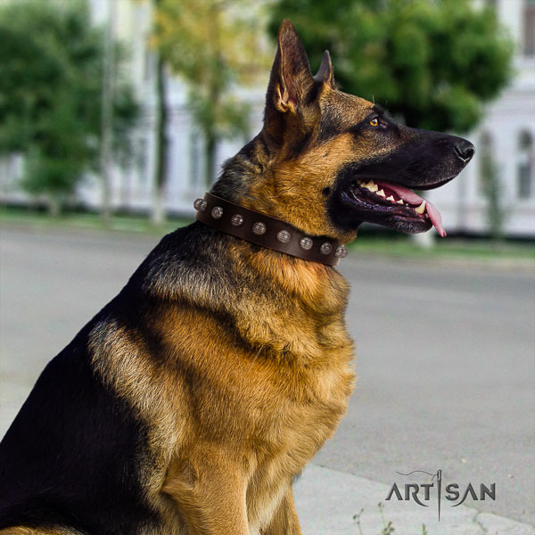 German-Shepherd convenient full grain leather collar with studs for your doggie