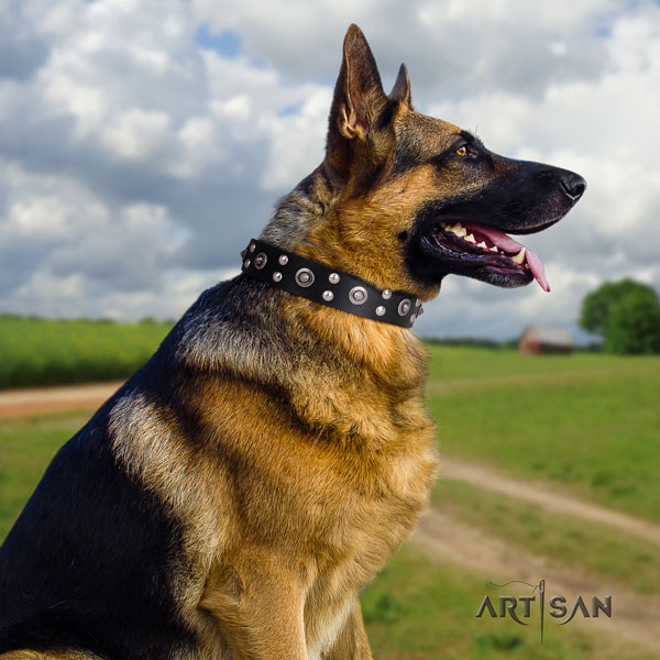 German-Shepherd handmade collar with designer embellishments for your dog