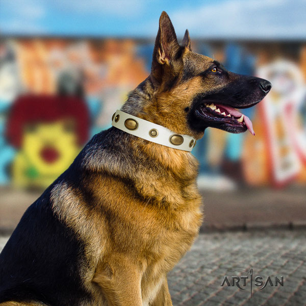 German-Shepherd fine quality collar with exceptional studs for your four-legged friend