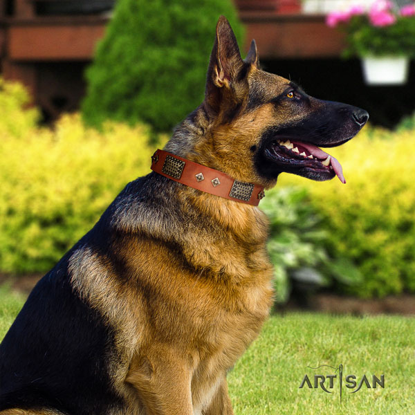 German-Shepherd comfortable collar with stunning studs for your four-legged friend