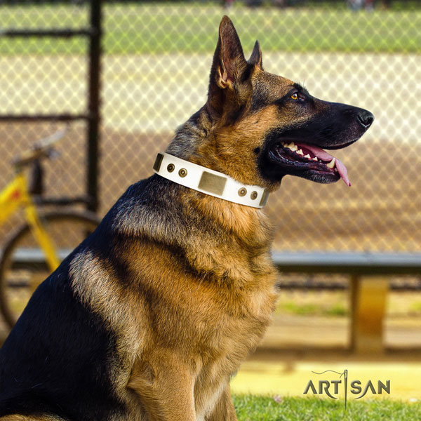 German-Shepherd handcrafted collar with extraordinary studs for your pet