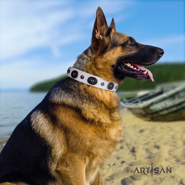 German-Shepherd perfect fit collar with significant studs for your canine