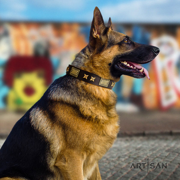 German-Shepherd best quality collar with inimitable decorations for your pet